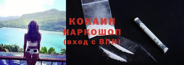 гашик Абинск
