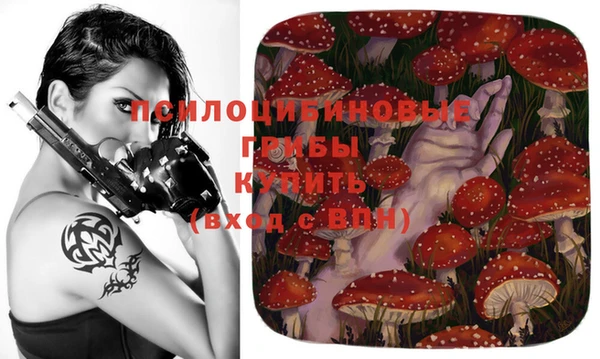 мдпв Абаза