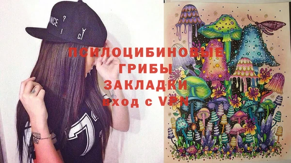 гашик Абинск