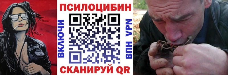 Псилоцибиновые грибы Psilocybine cubensis  Кострома 